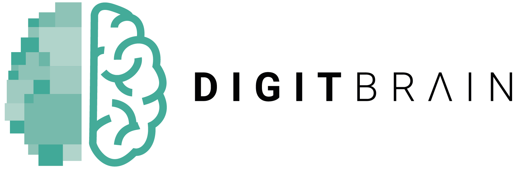 DIGITbrain